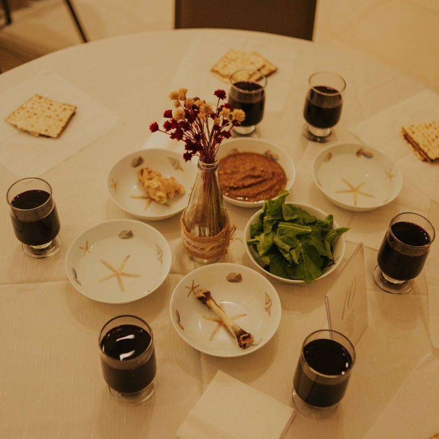 Pesach programs guide photograph